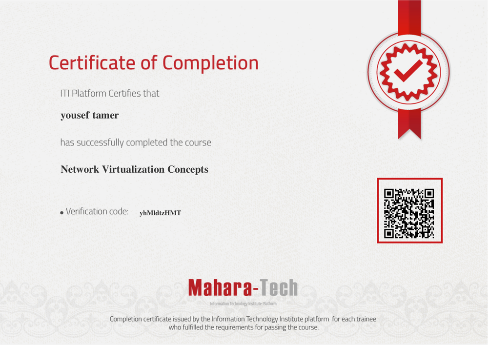 Network Virtualization Concepts Preview