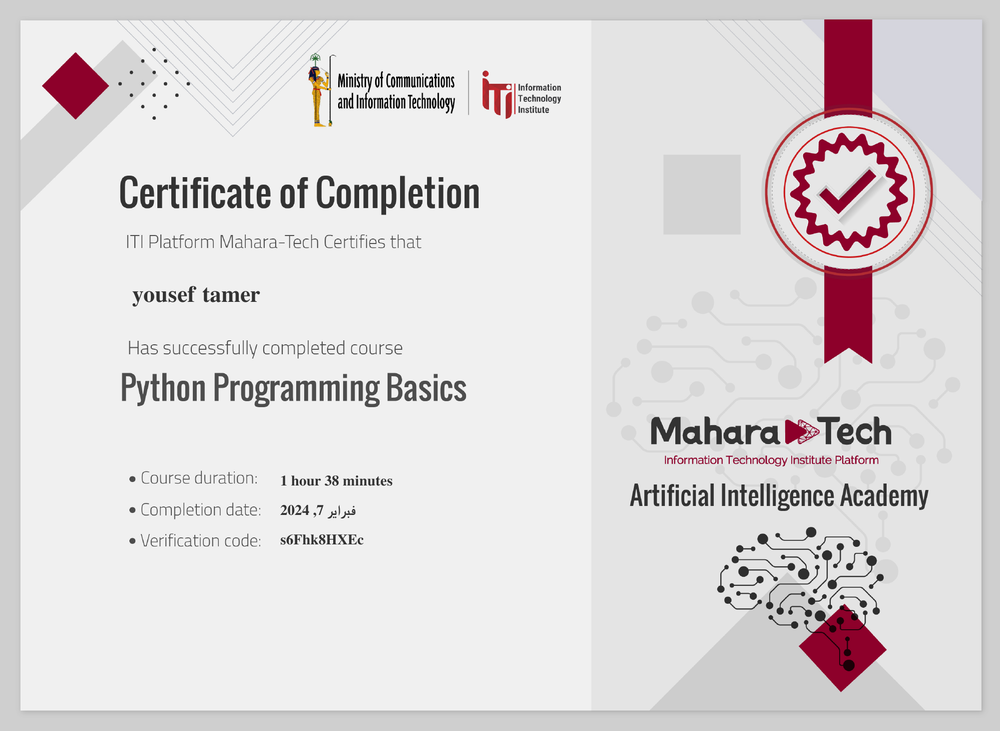 Python Programming Basics Preview